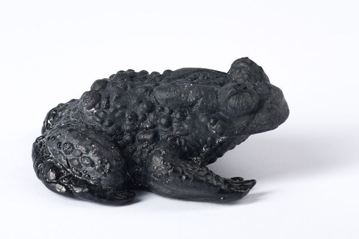 Bufo pictus, 2022 

Glasguss, ca. 12 x 9 x 5 cm
Unikat-Edition 44 + 6 AP, signiert, datiert, nummeriert 

Ausrufpreis: 550,-