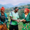 onetreeplanted.org